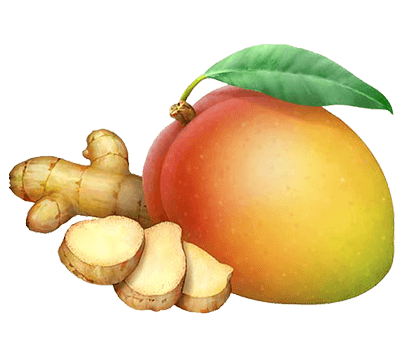 mango ginger wt